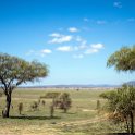 TZA SHI SerengetiNP 2016DEC24 LookoutHill 019 : 2016, 2016 - African Adventures, Africa, Date, December, Eastern, Lookout Hill, Month, Places, Serengeti National Park, Shinyanga, Tanzania, Trips, Year